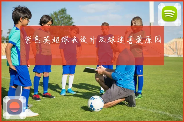 紫色英超球衣设计及球迷喜爱原因