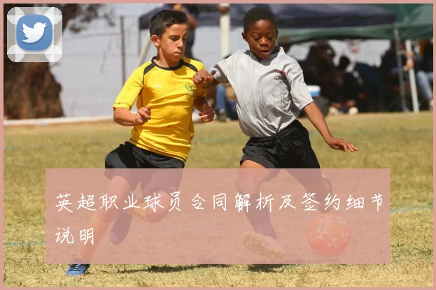 英超职业球员合同解析及签约细节说明