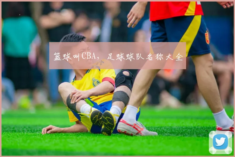 篮球叫CBA，足球球队名称大全