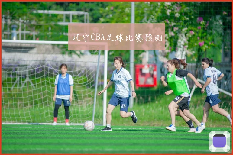 辽宁CBA足球比赛预测