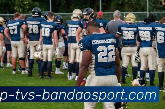 半岛体育平台生态图