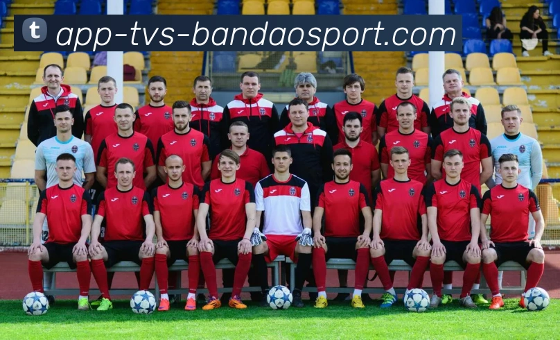 半岛体育全站App